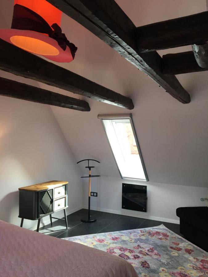 Ferienhaus - Sonnenhaus Villa Friedrichstadt Dış mekan fotoğraf